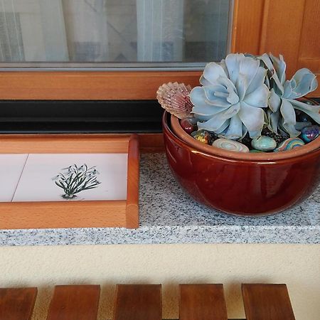 Apartment Aquileia 普拉 外观 照片